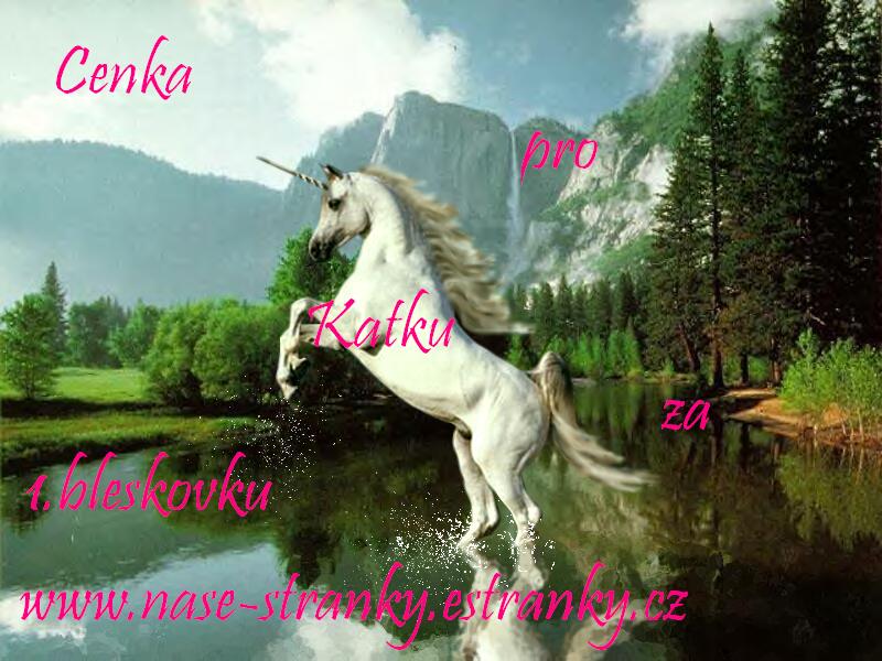 cenka pro Katku.JPG